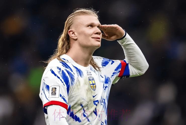 最新世界杯法国哈兰德赛事预测权威解读